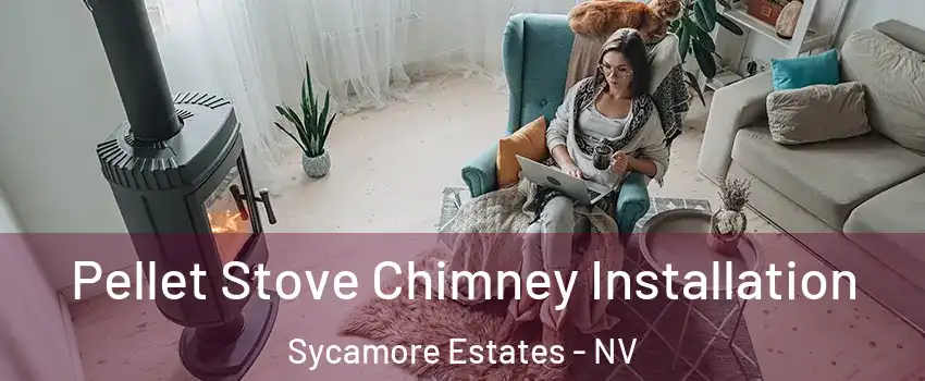 Pellet Stove Chimney Installation Sycamore Estates - NV