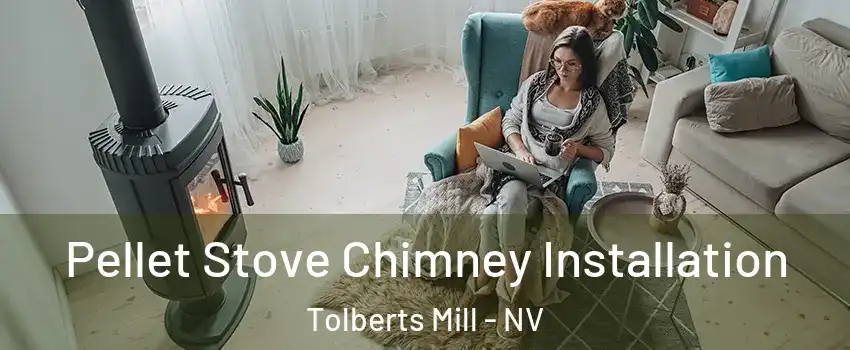 Pellet Stove Chimney Installation Tolberts Mill - NV