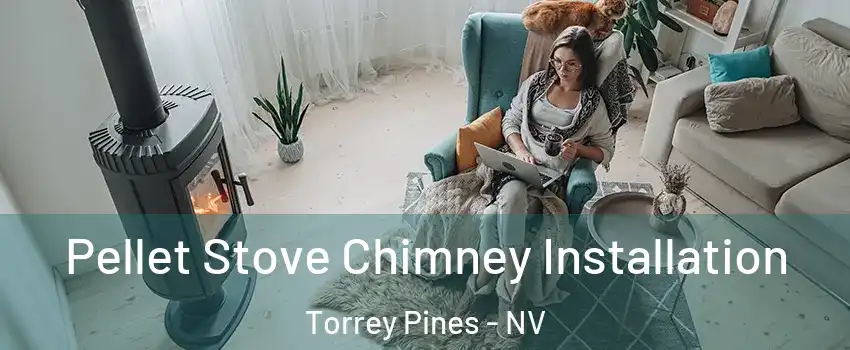 Pellet Stove Chimney Installation Torrey Pines - NV