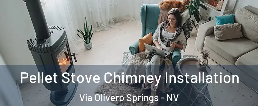 Pellet Stove Chimney Installation Via Olivero Springs - NV