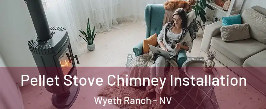 Pellet Stove Chimney Installation Wyeth Ranch - NV