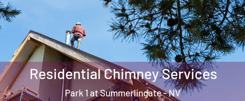Residential Chimney Services Park 1 at Summerlingate - NV