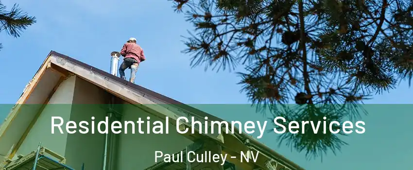 Residential Chimney Services Paul Culley - NV