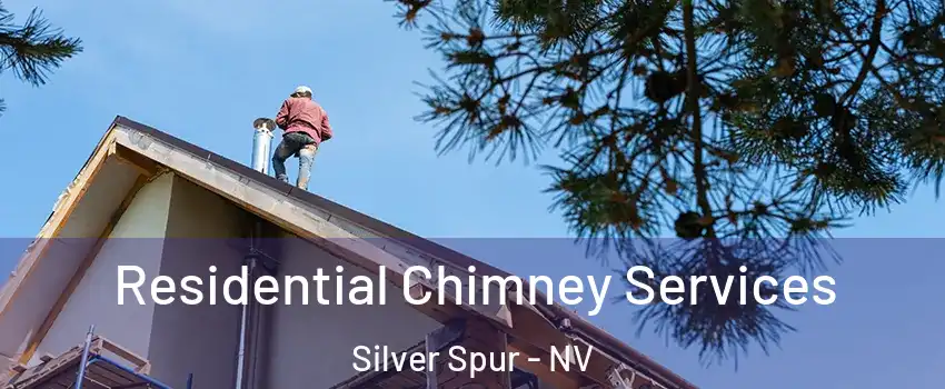 Residential Chimney Services Silver Spur - NV