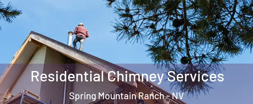 Residential Chimney Services Spring Mountain Ranch - NV