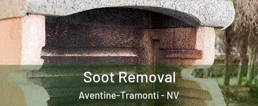 Soot Removal Aventine-Tramonti - NV