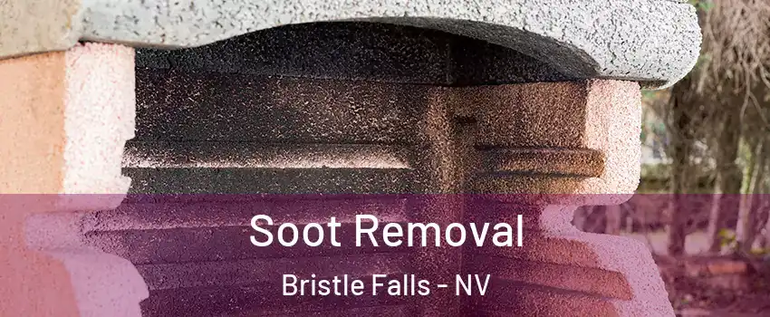 Soot Removal Bristle Falls - NV