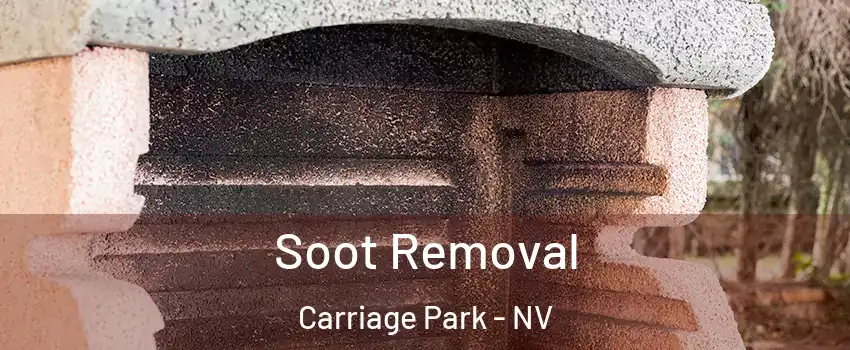 Soot Removal Carriage Park - NV