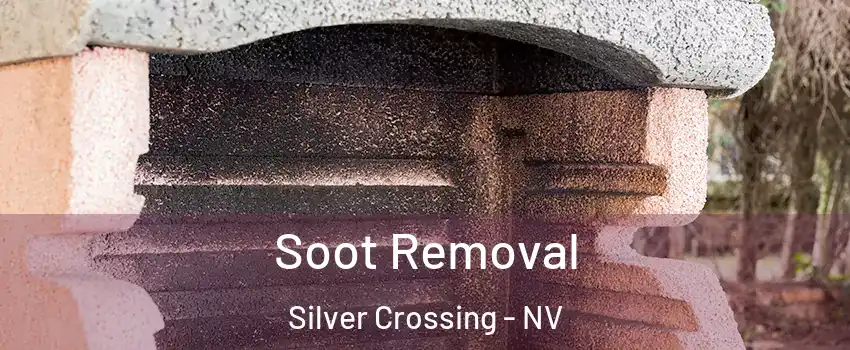 Soot Removal Silver Crossing - NV