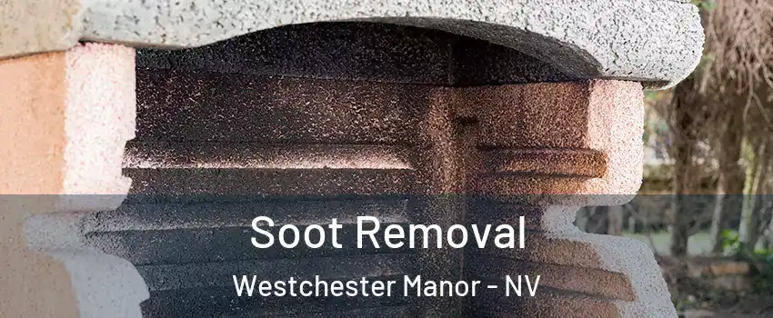 Soot Removal Westchester Manor - NV