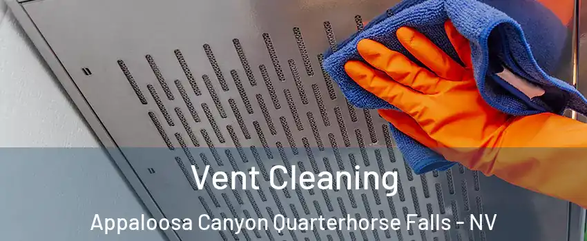 Vent Cleaning Appaloosa Canyon Quarterhorse Falls - NV