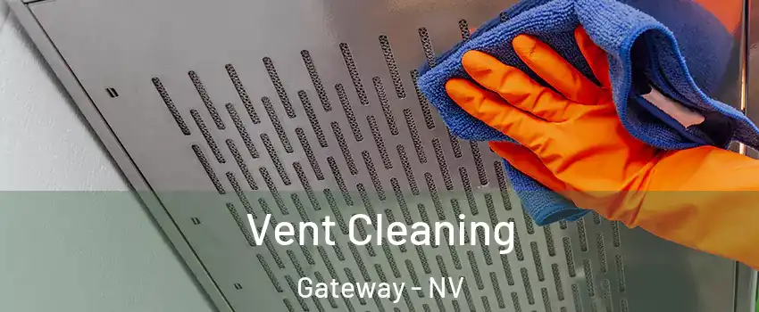 Vent Cleaning Gateway - NV