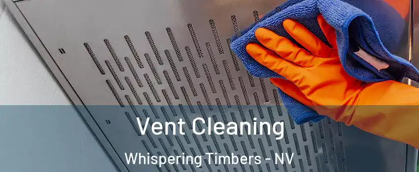 Vent Cleaning Whispering Timbers - NV