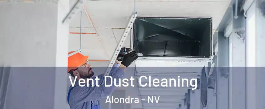 Vent Dust Cleaning Alondra - NV