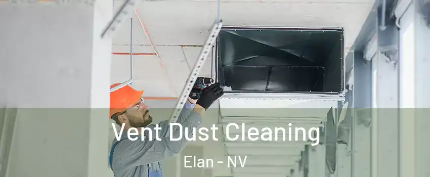 Vent Dust Cleaning Elan - NV