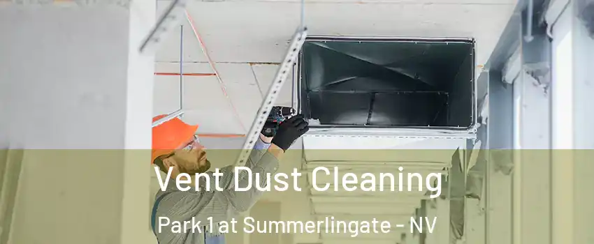 Vent Dust Cleaning Park 1 at Summerlingate - NV