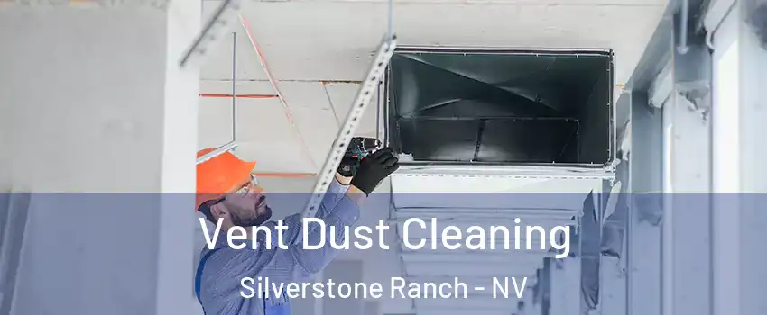 Vent Dust Cleaning Silverstone Ranch - NV