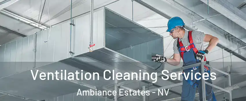 Ventilation Cleaning Services Ambiance Estates - NV