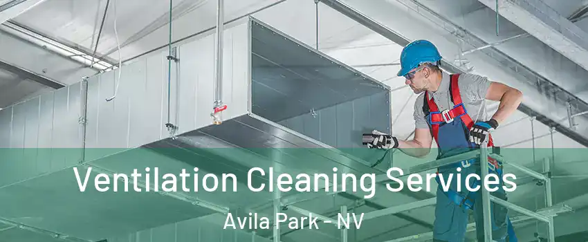 Ventilation Cleaning Services Avila Park - NV
