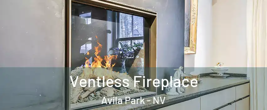 Ventless Fireplace Avila Park - NV