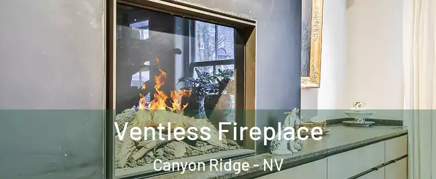 Ventless Fireplace Canyon Ridge - NV