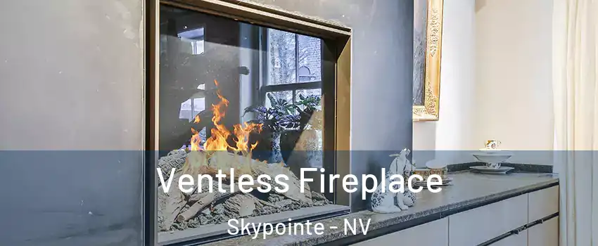 Ventless Fireplace Skypointe - NV