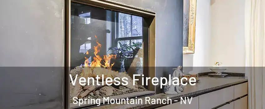 Ventless Fireplace Spring Mountain Ranch - NV