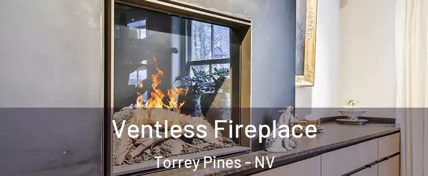 Ventless Fireplace Torrey Pines - NV