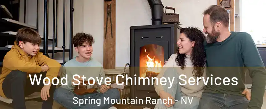 Wood Stove Chimney Services Spring Mountain Ranch - NV
