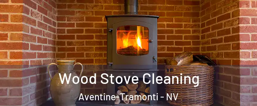 Wood Stove Cleaning Aventine-Tramonti - NV