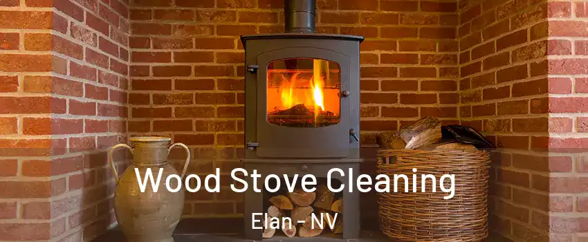 Wood Stove Cleaning Elan - NV