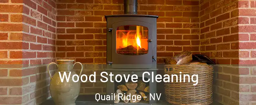 Wood Stove Cleaning Quail Ridge - NV