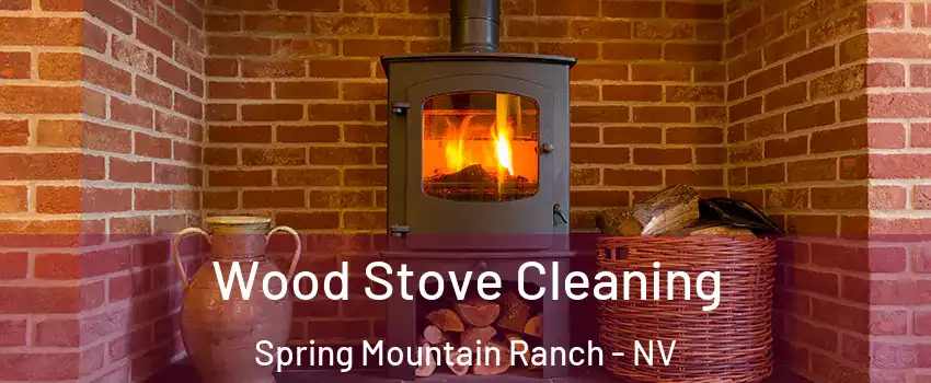 Wood Stove Cleaning Spring Mountain Ranch - NV