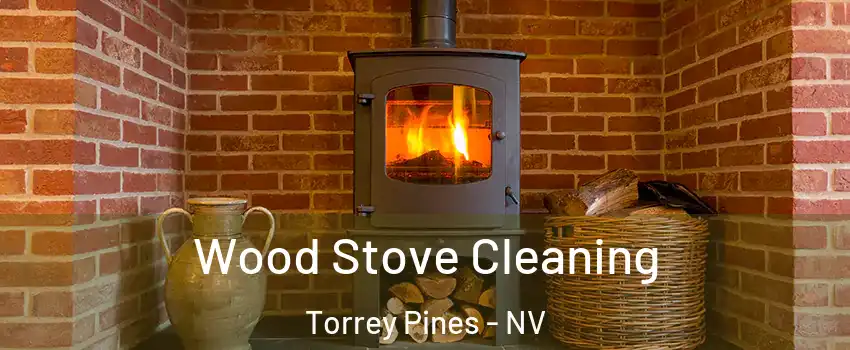 Wood Stove Cleaning Torrey Pines - NV