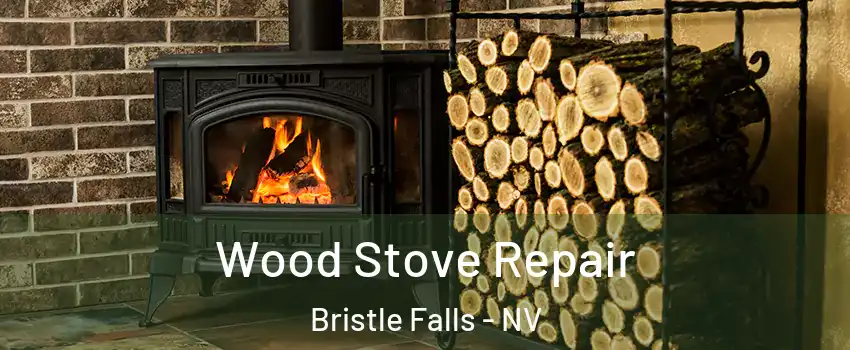 Wood Stove Repair Bristle Falls - NV