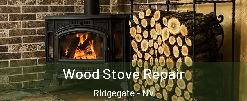 Wood Stove Repair Ridgegate - NV