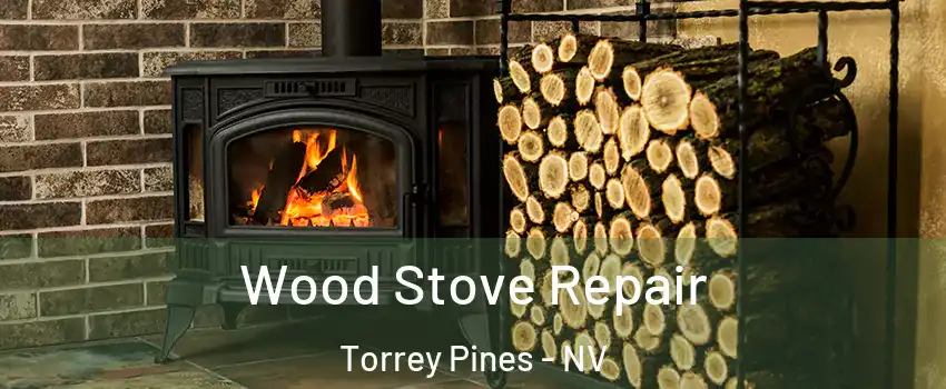 Wood Stove Repair Torrey Pines - NV